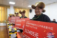 西藏琼结1970箱蜜蜂酿出乡村振兴“蜜”方